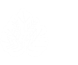 Пансионат Лесные Дали